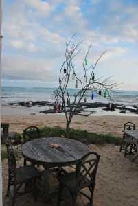 m_Galapagos (124) Villamil